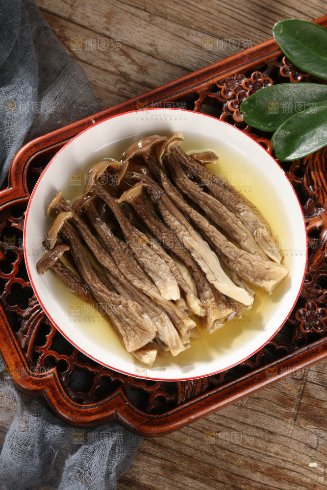 鹿茸菇