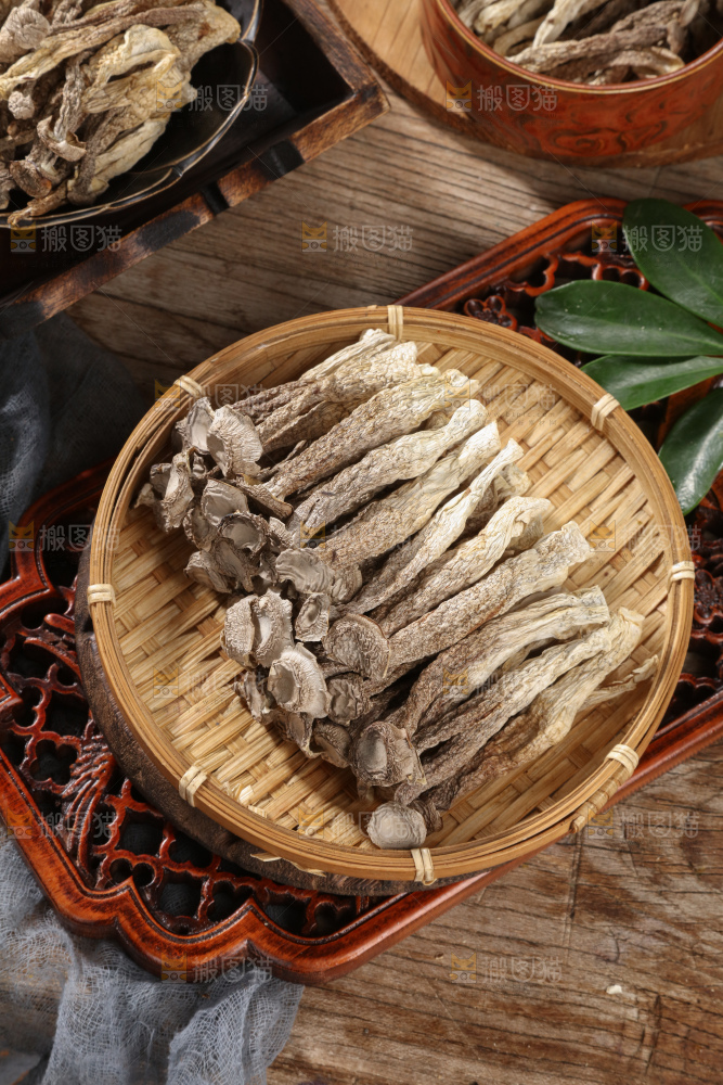 鹿茸菇