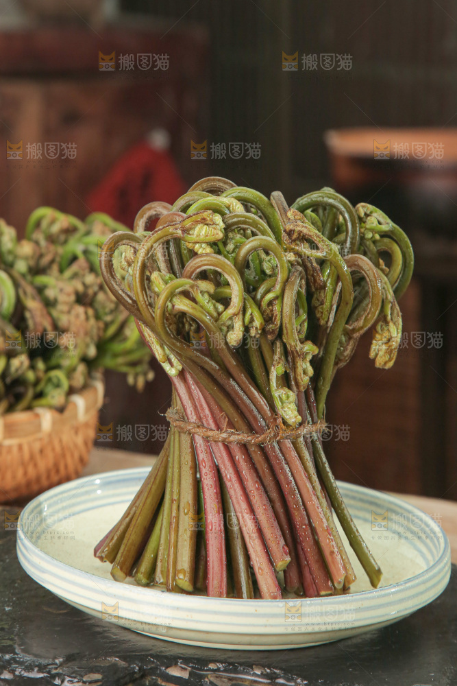 蕨菜