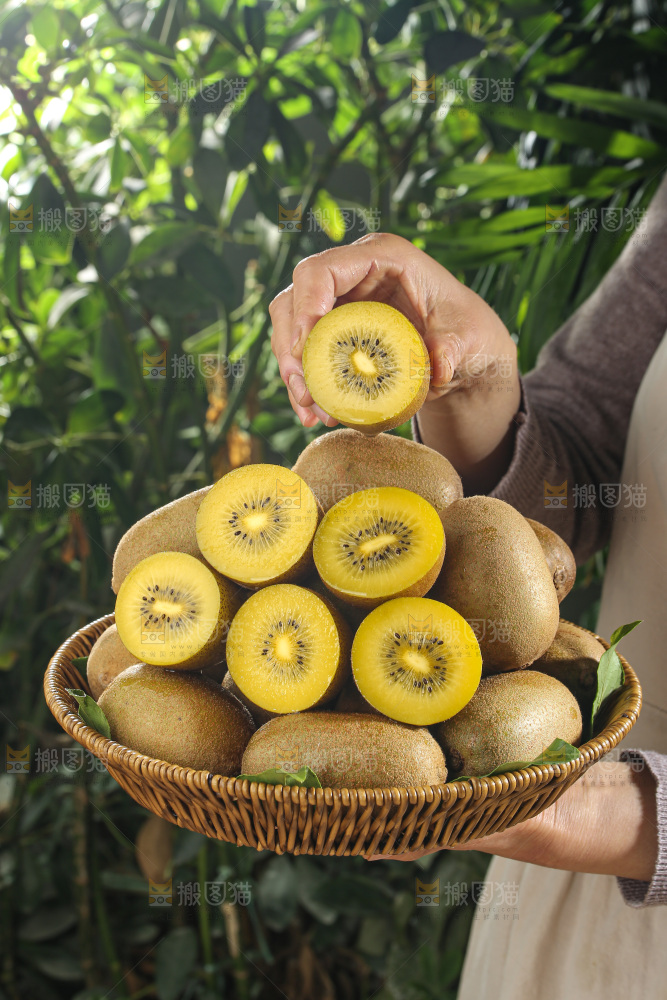 黄金奇异果