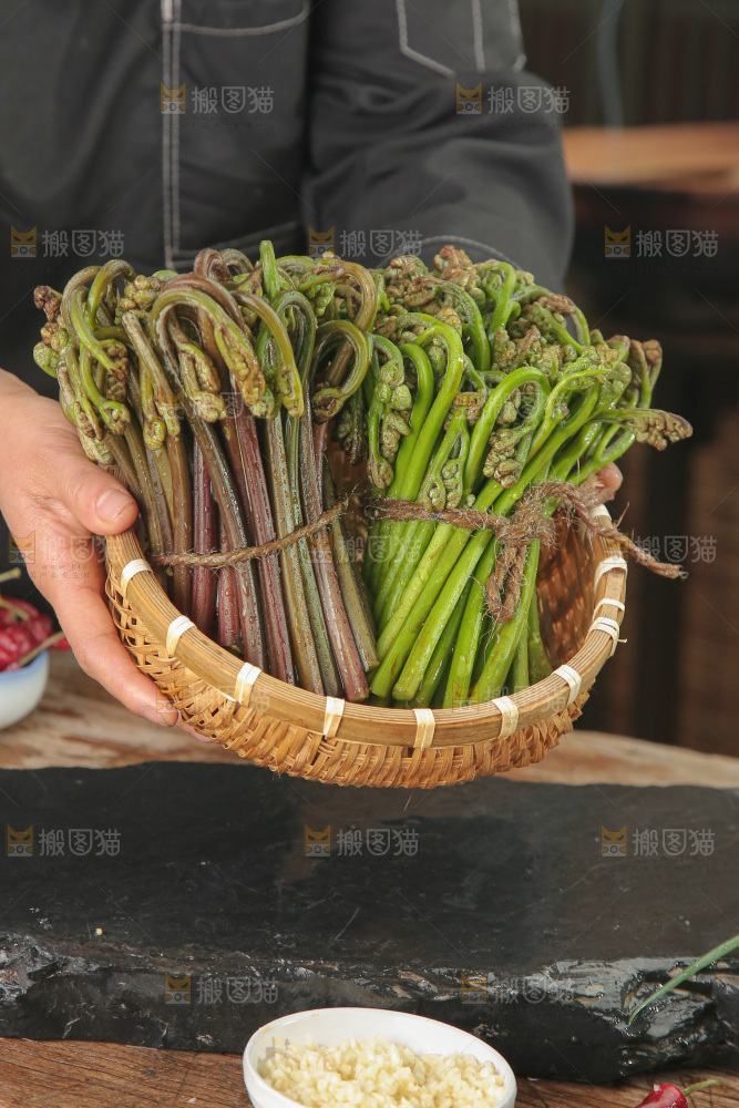 蕨菜