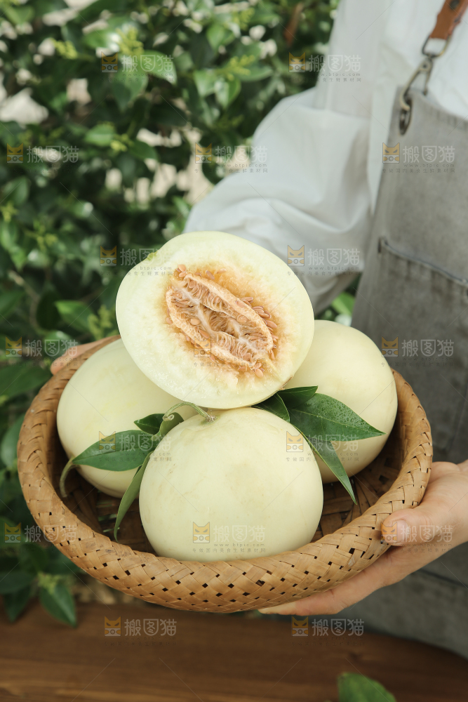 阎良甜瓜