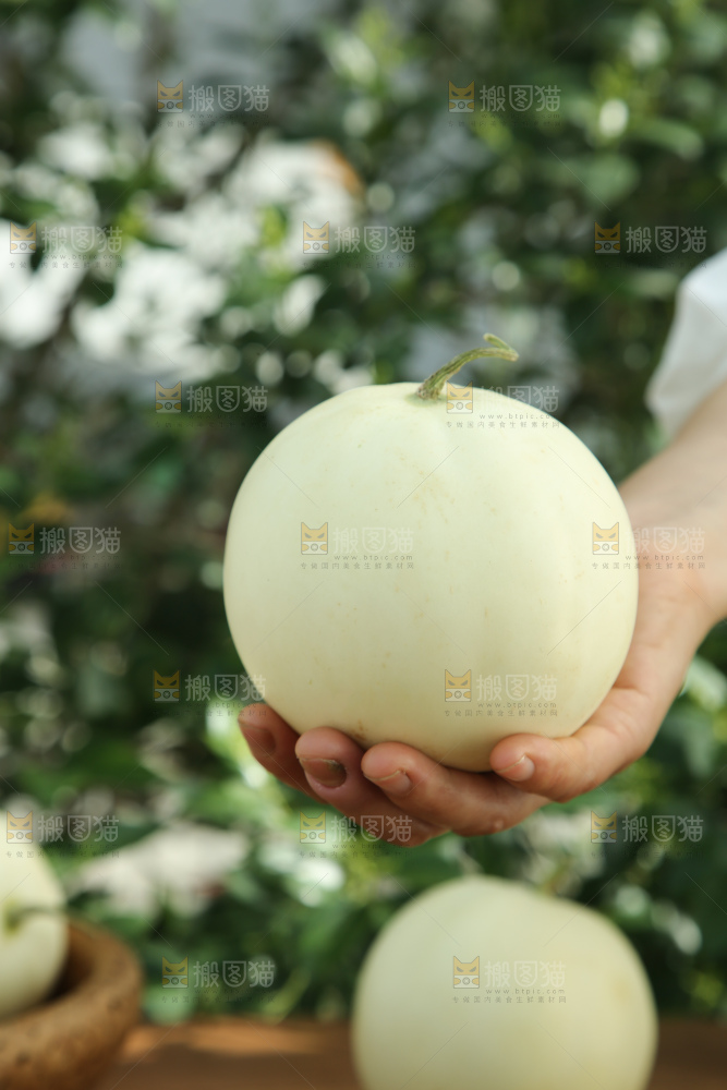 阎良甜瓜