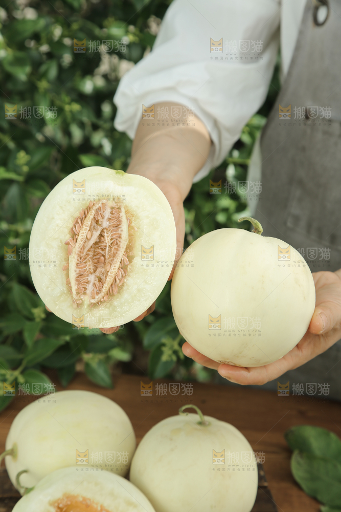 阎良甜瓜