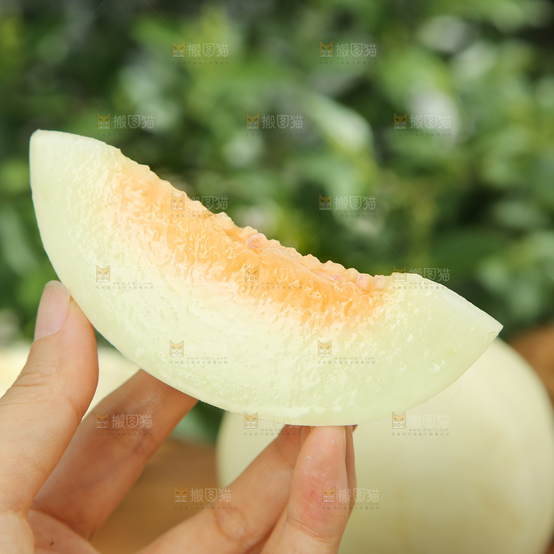 阎良甜瓜