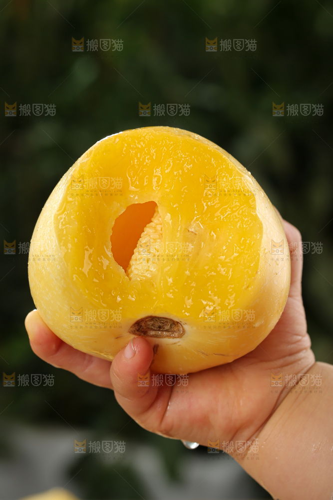 人参果