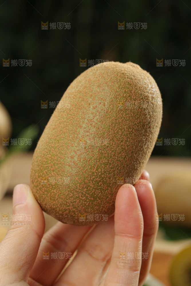 黄金奇异果