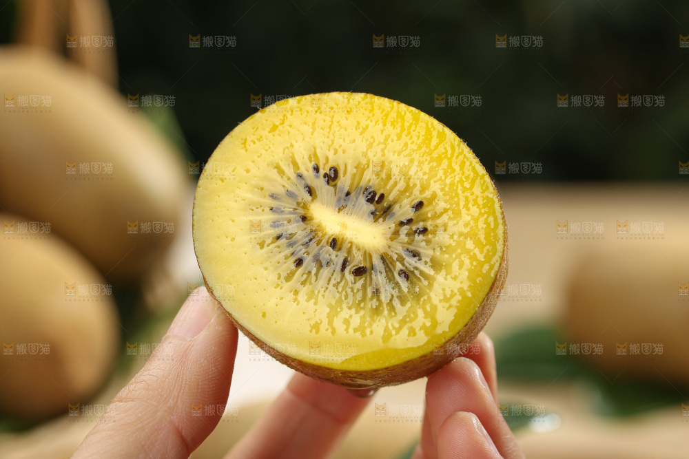 黄金奇异果