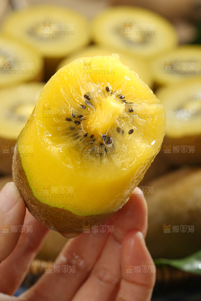 黄金奇异果