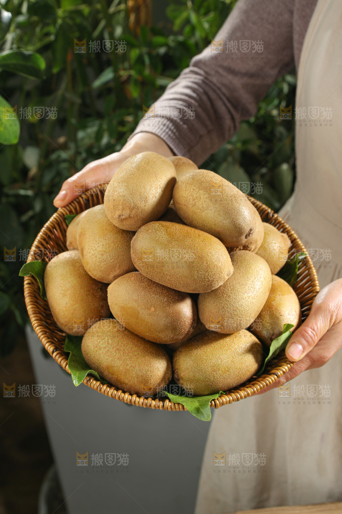 黄金奇异果