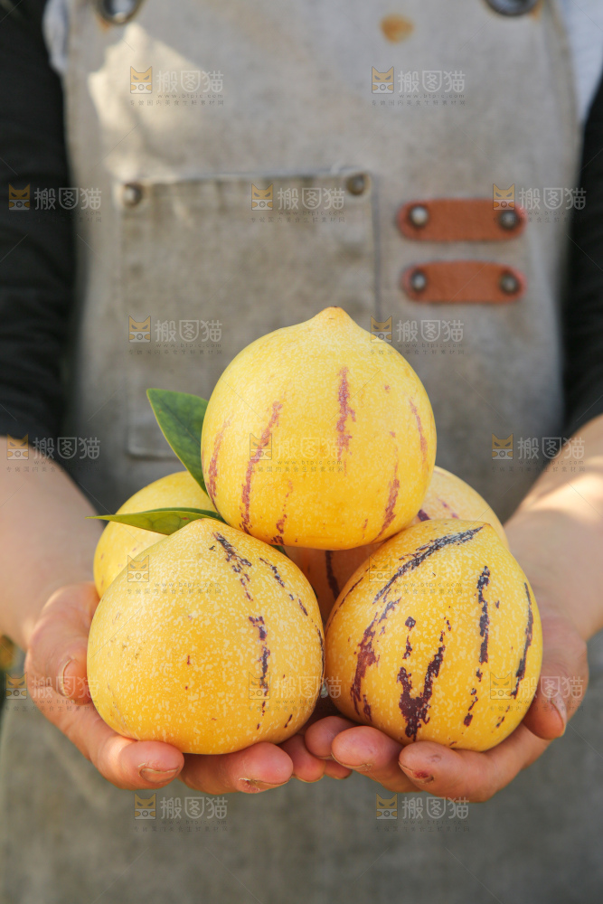 人参果