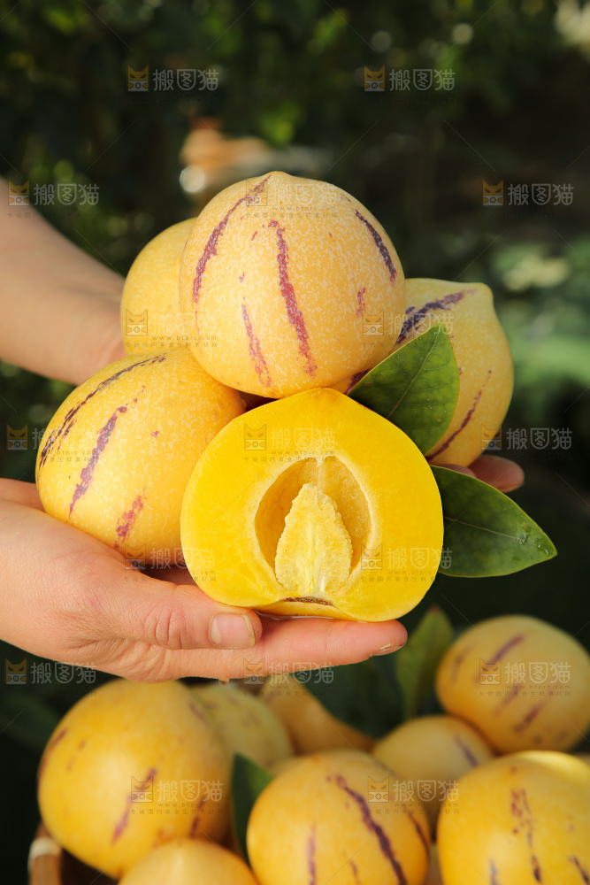 人参果
