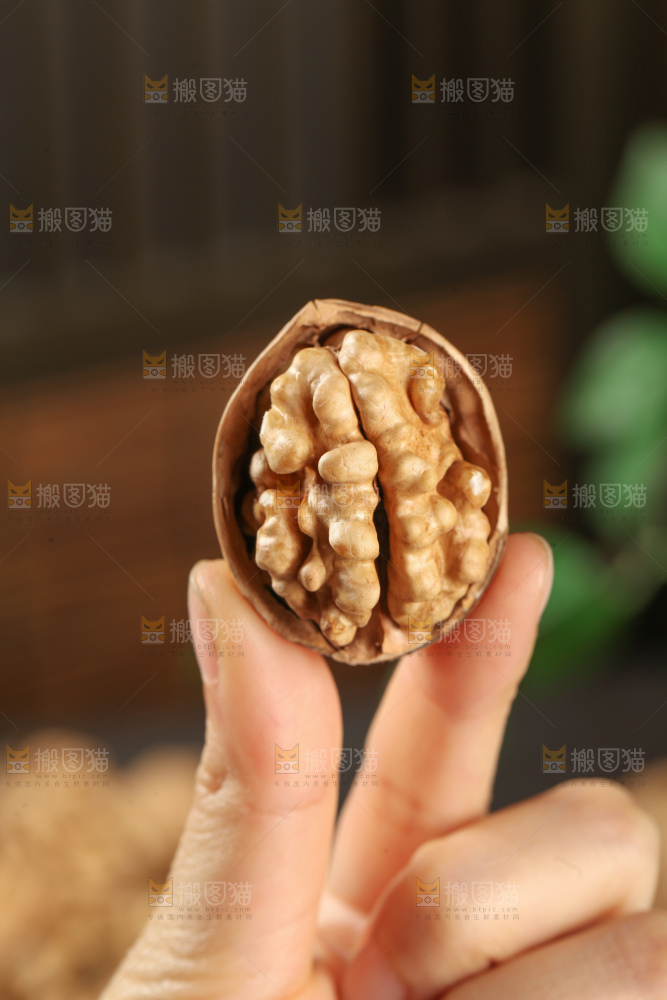 纸皮核桃