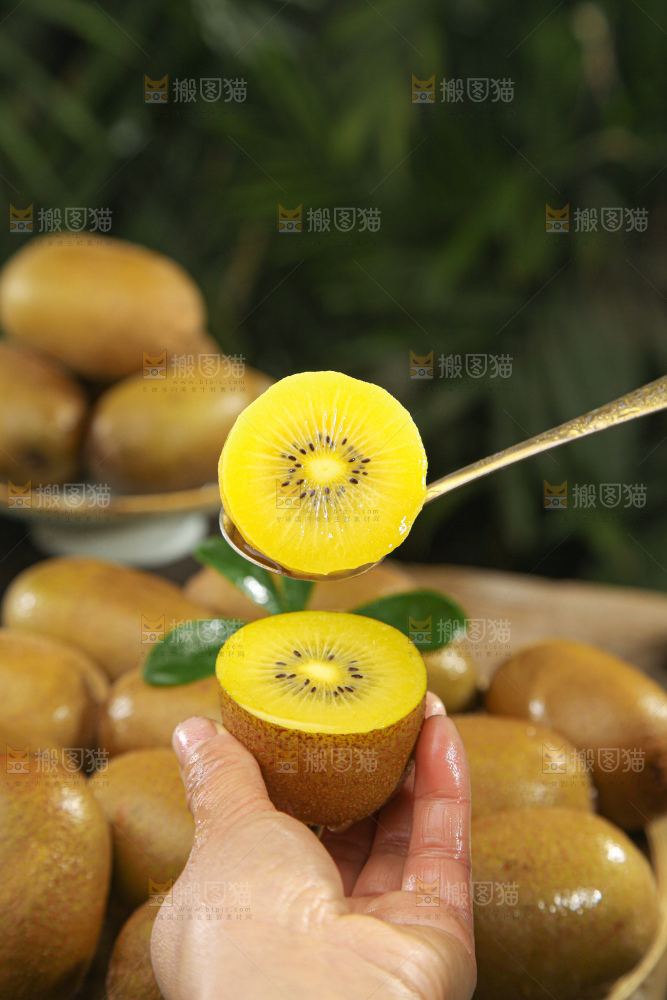 黄金奇异果