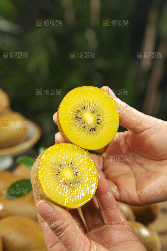 黄金奇异果