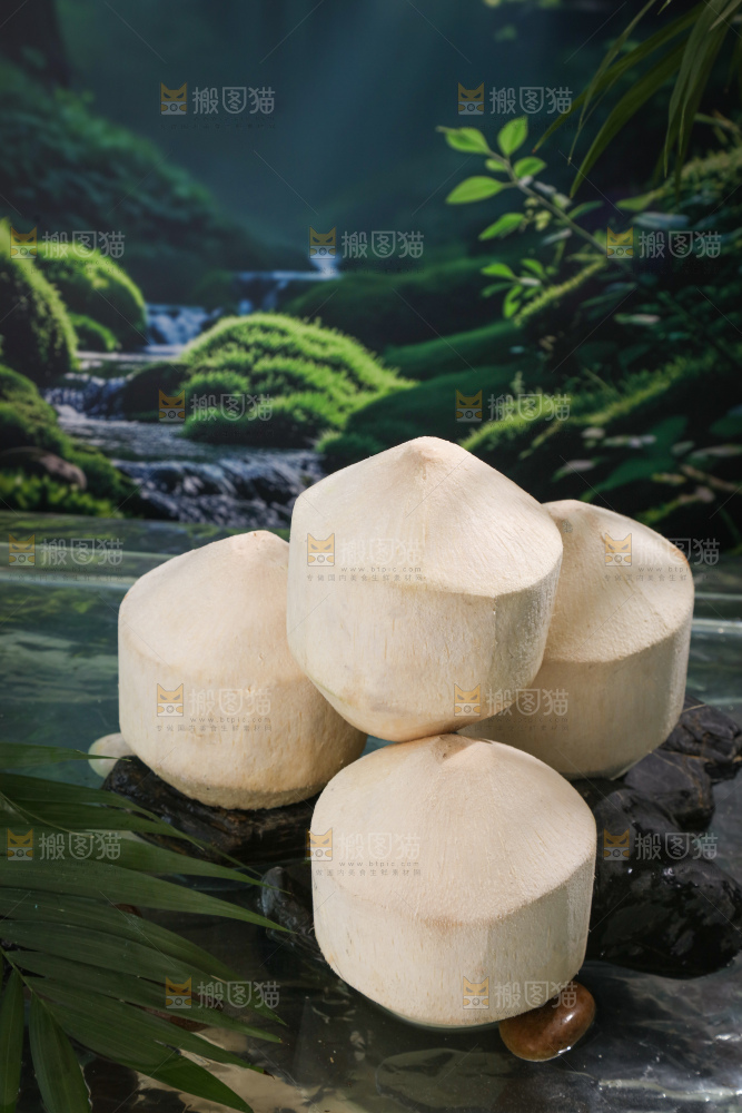 牛奶椰皇