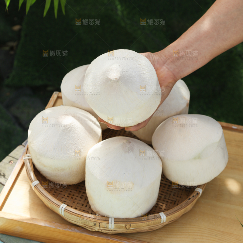 牛奶椰皇