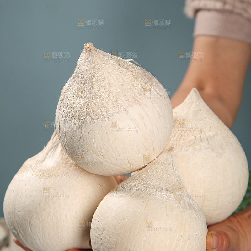 牛奶椰皇