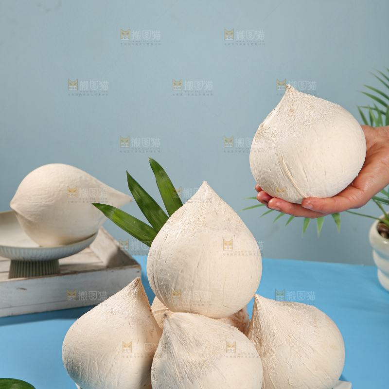 牛奶椰皇