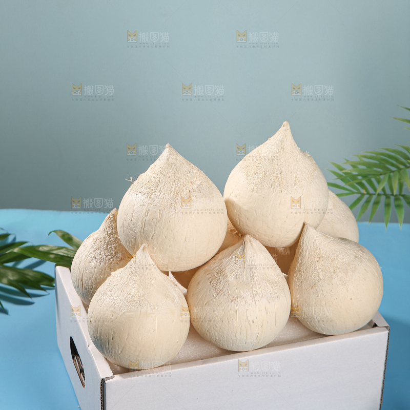 牛奶椰皇