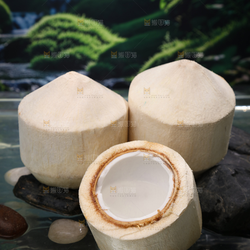 牛奶椰皇