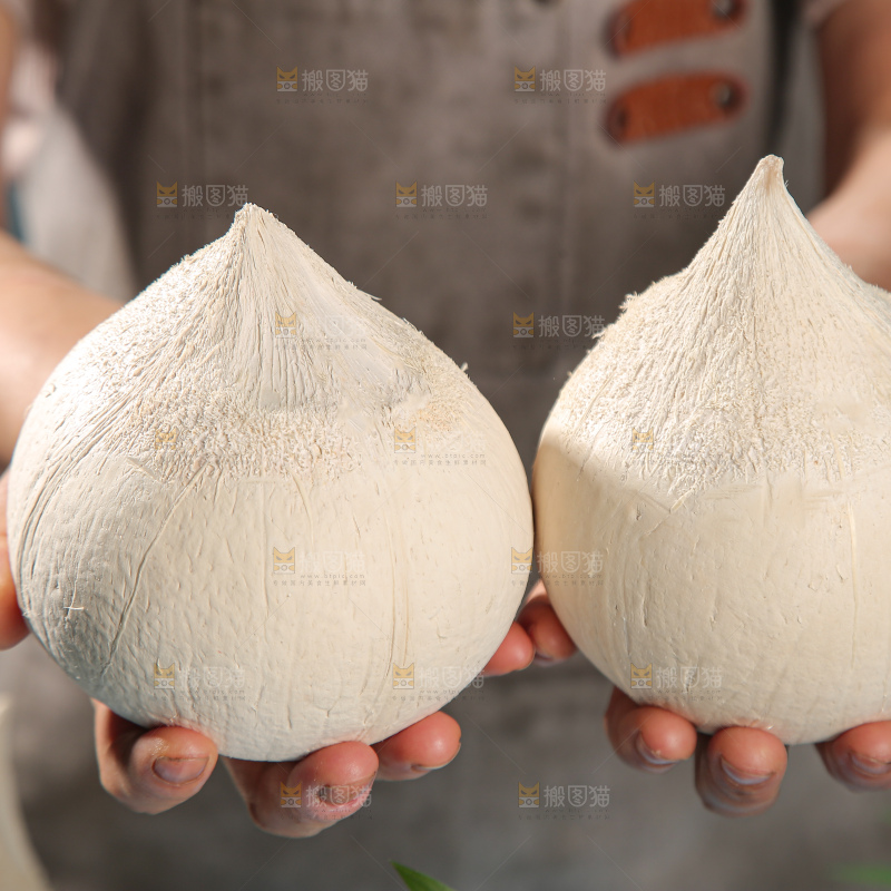 牛奶椰皇