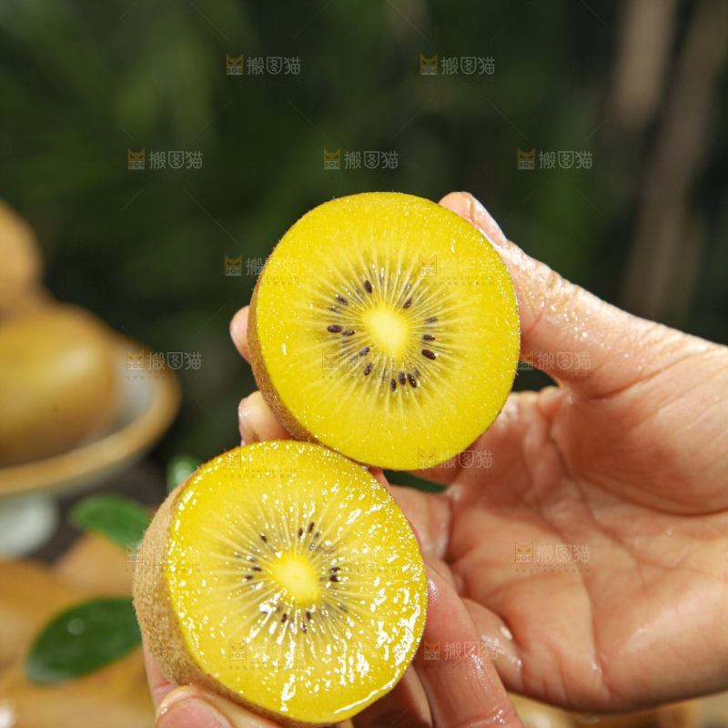 黄金奇异果