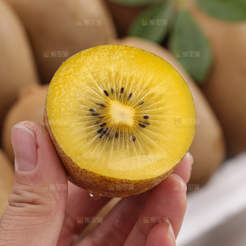 黄金奇异果