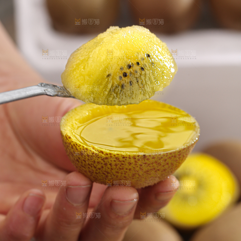 黄金奇异果
