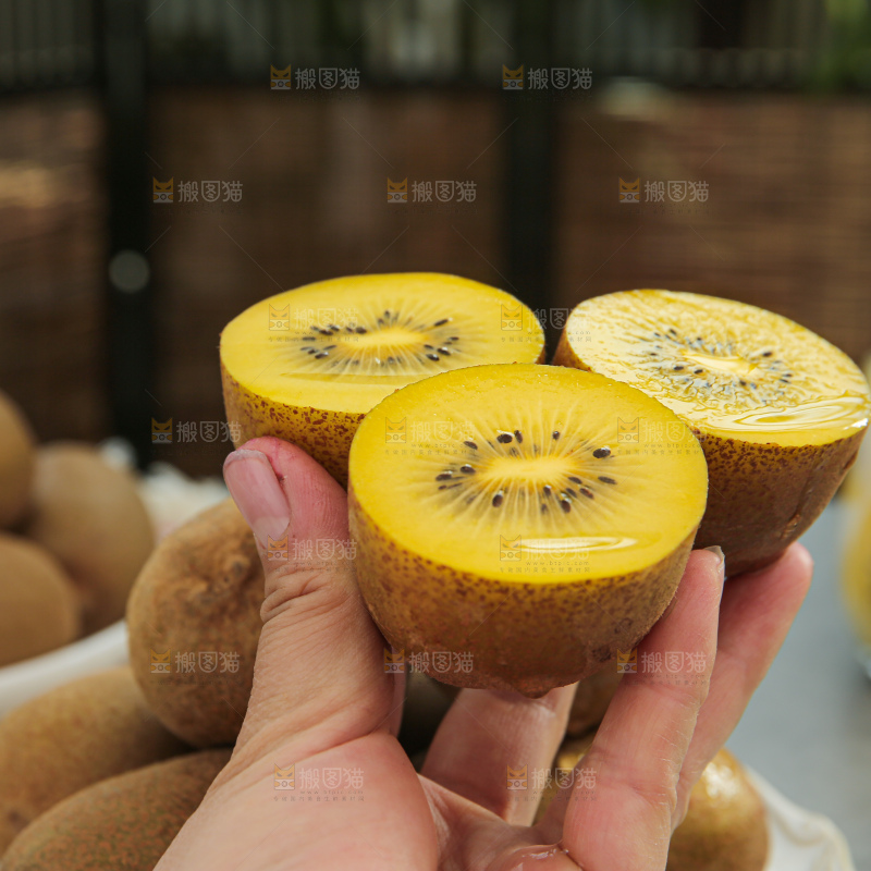 黄金奇异果