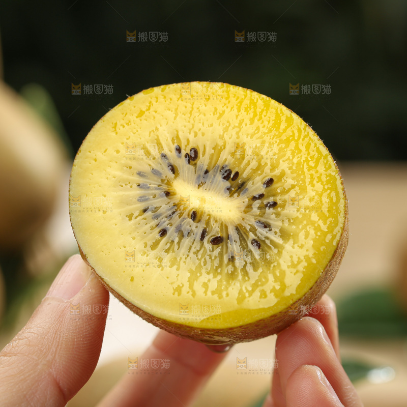 黄金奇异果
