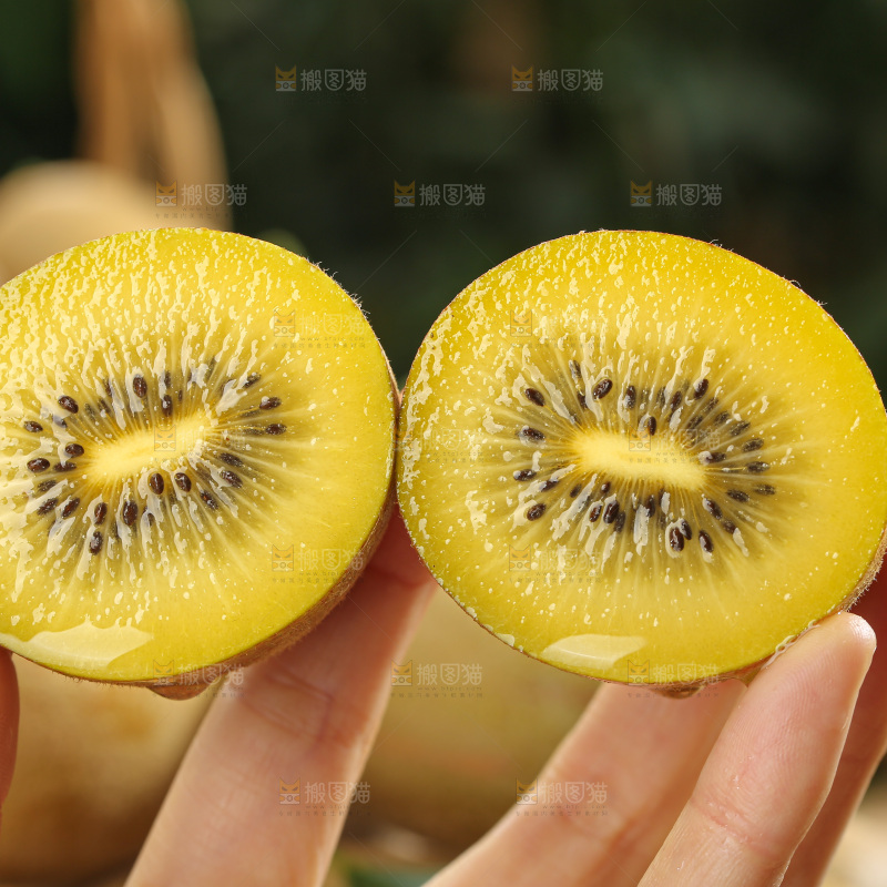 黄金奇异果
