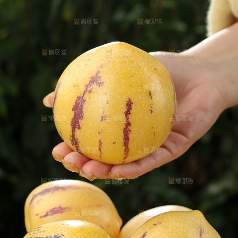 人参果