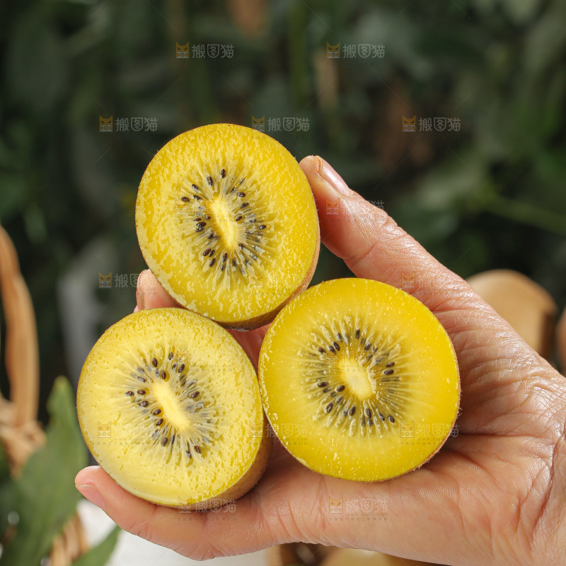 黄金奇异果