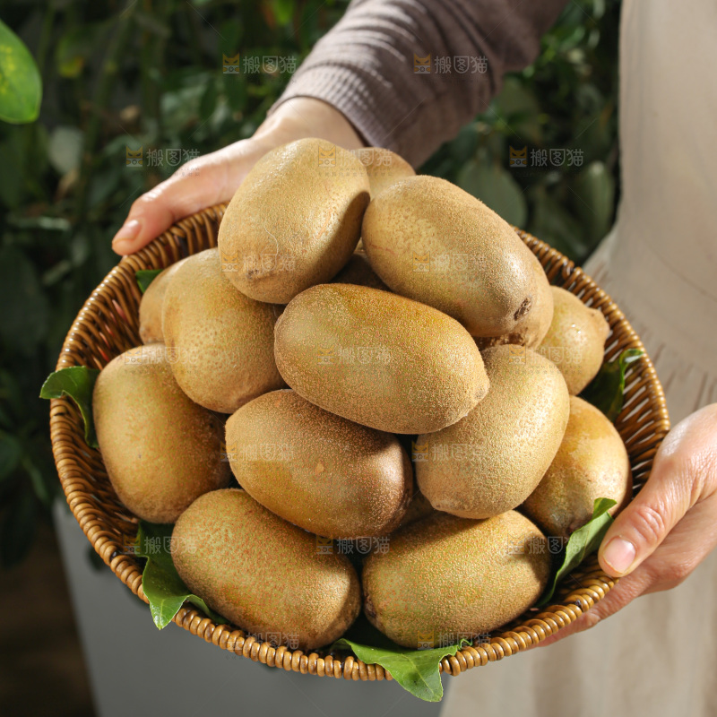 黄金奇异果