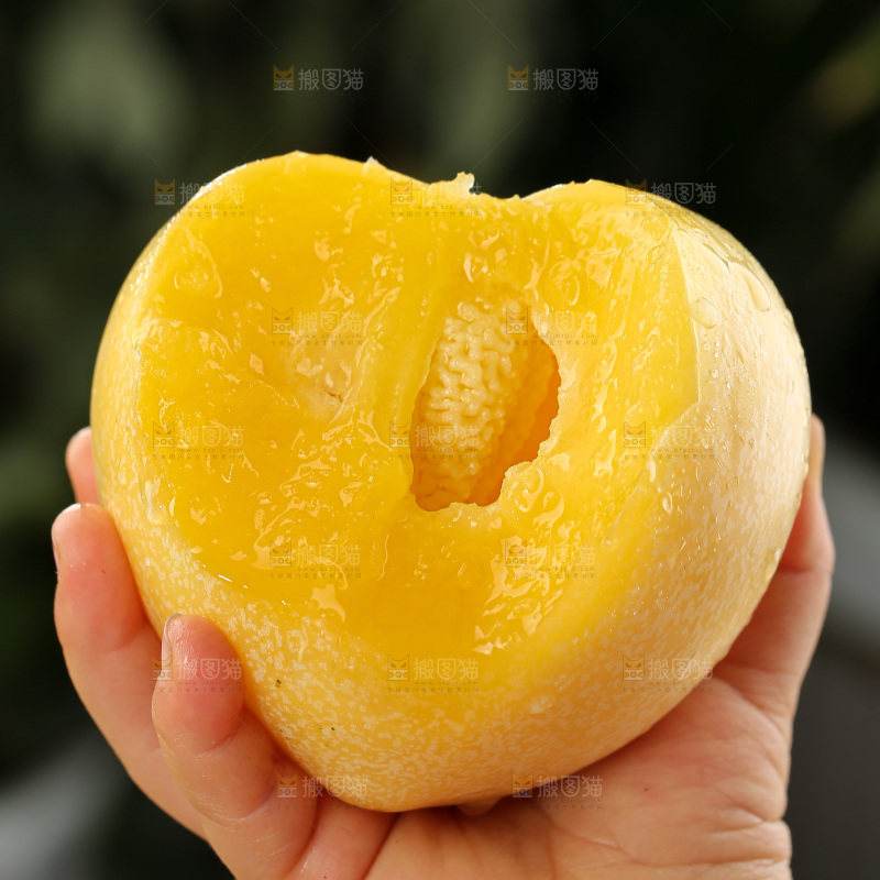 人参果