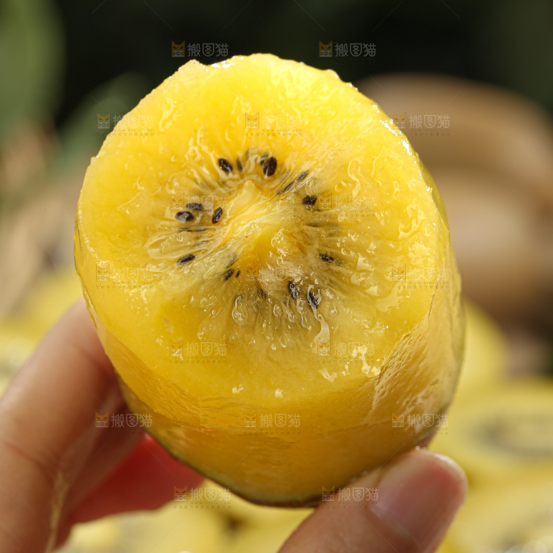 黄金奇异果