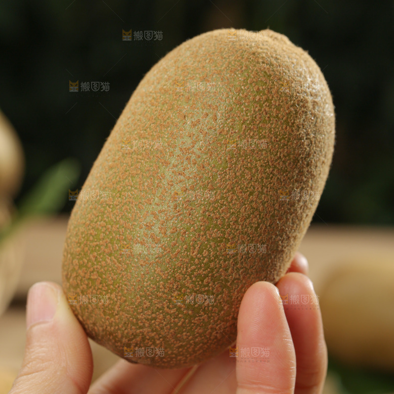 黄金奇异果