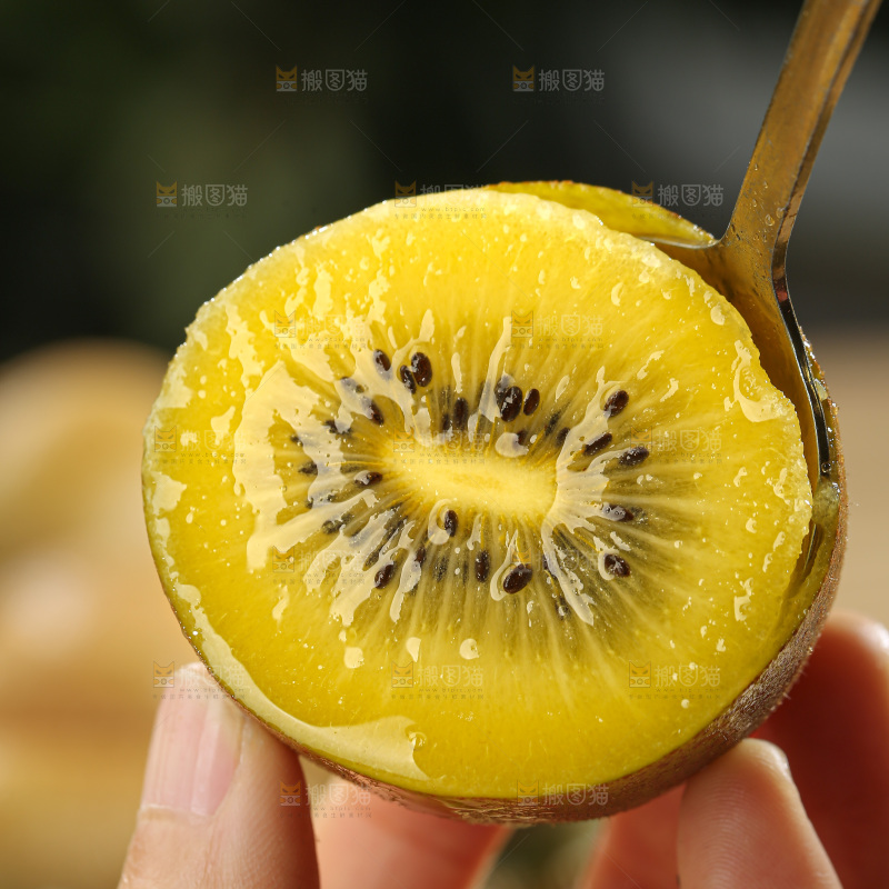 黄金奇异果