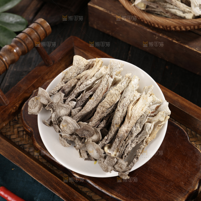 鹿茸菇