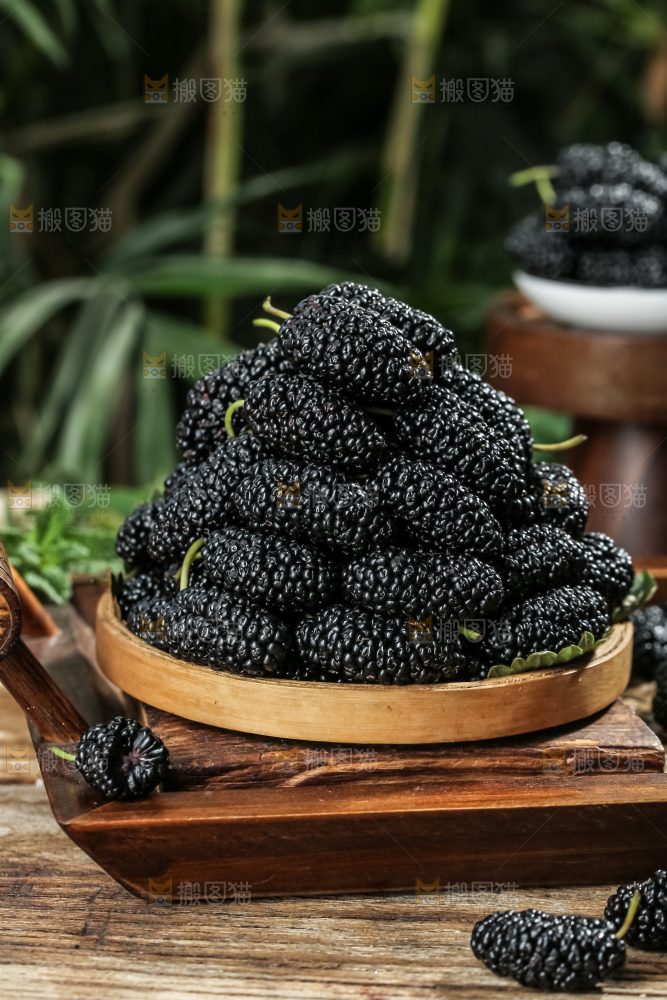 桑葚