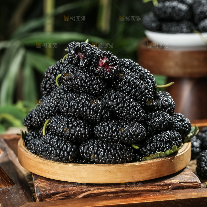 桑葚