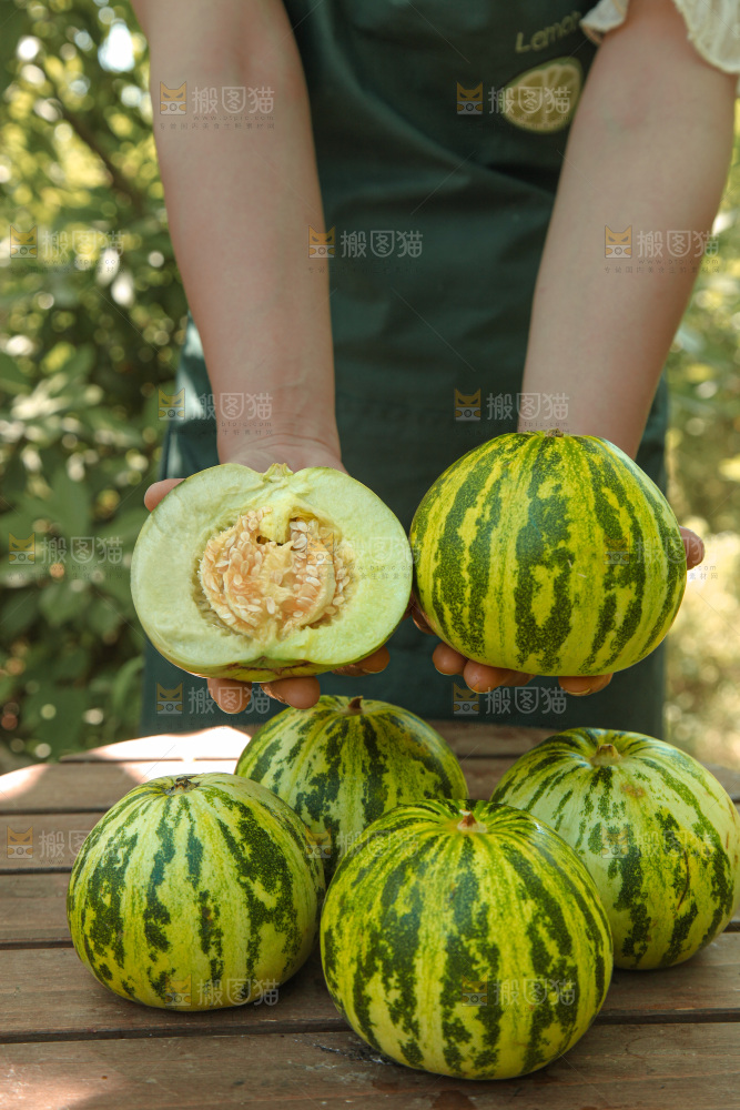 花蕾甜瓜