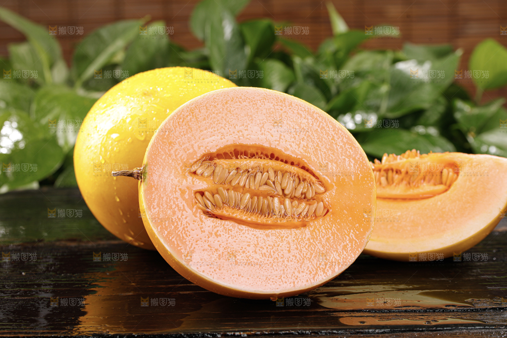 黄河蜜瓜