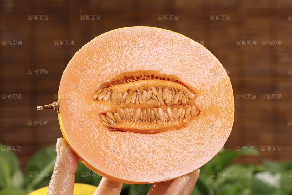 黄河蜜瓜