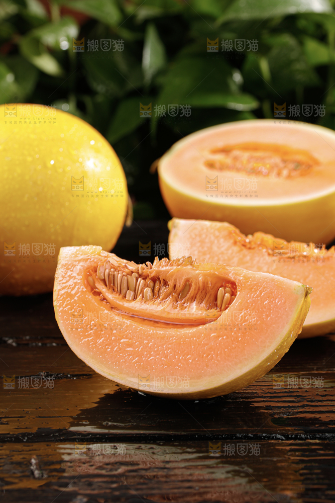 黄河蜜瓜
