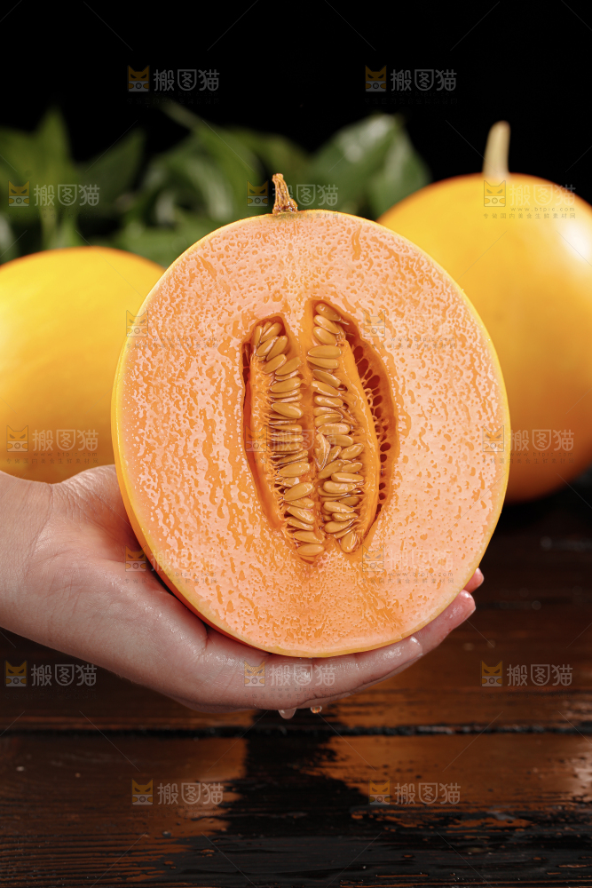 黄河蜜瓜