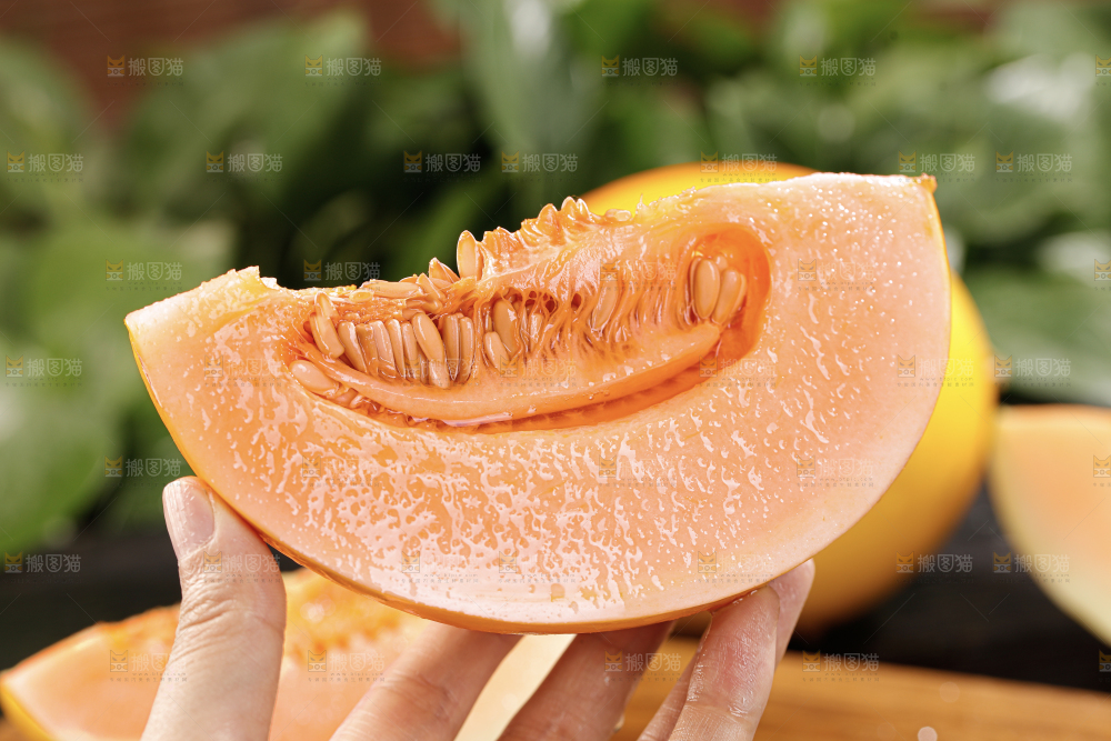 黄河蜜瓜