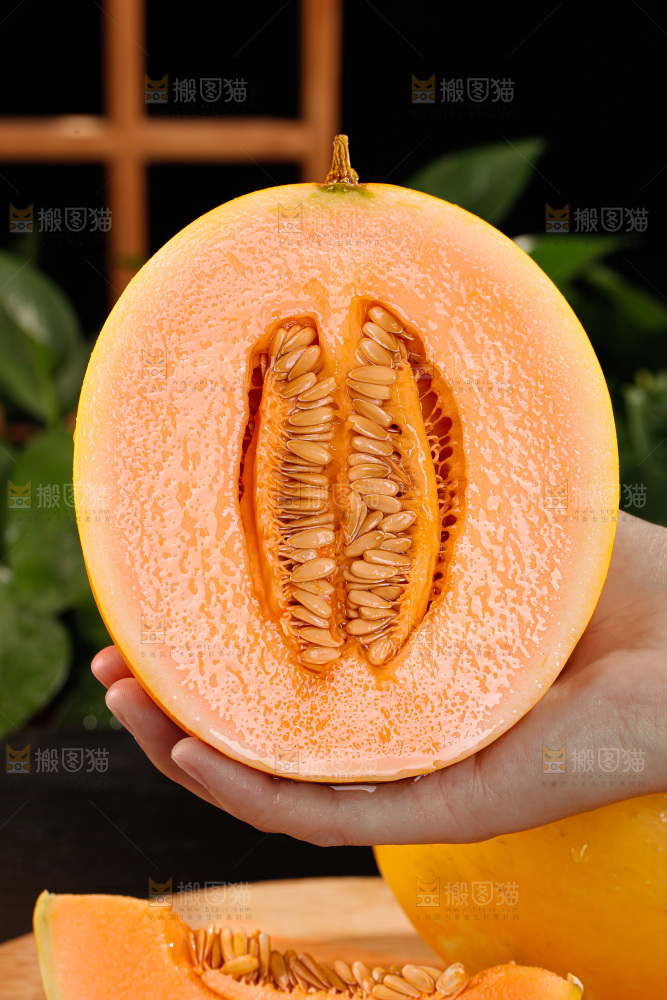 黄河蜜瓜