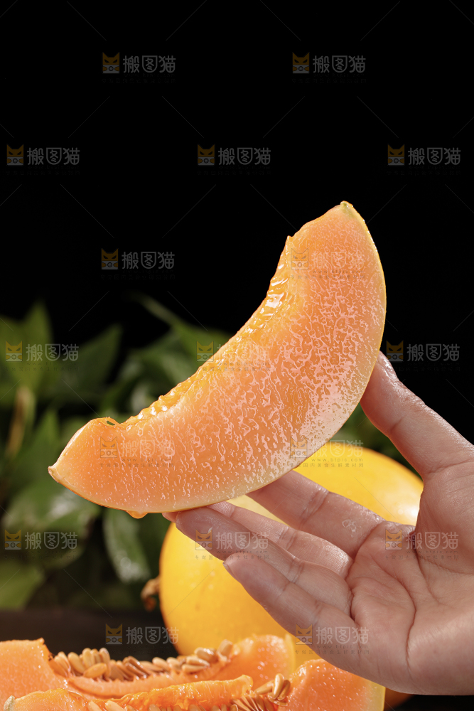 黄河蜜瓜